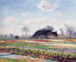 Tulip Fields at Sassenheim, near Leiden
